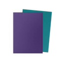 Dragon Shields Dual Matte