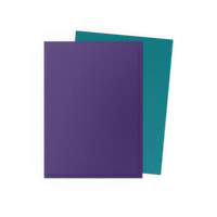 Dragon Shields Dual Matte