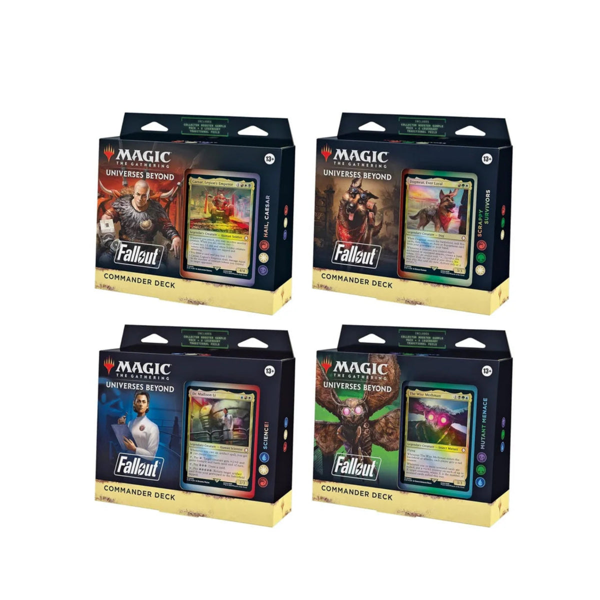 PIP: Commander Display
