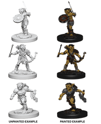 D&D Nolzur's Marvelous Miniatures Wave 1 to 4