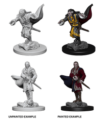 D&D Nolzur's Marvelous Miniatures Wave 1 to 4