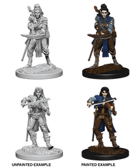 WizKids Deep Cuts Unpainted Miniatures