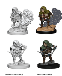 D&D Nolzur's Marvelous Miniatures Wave 1 to 4