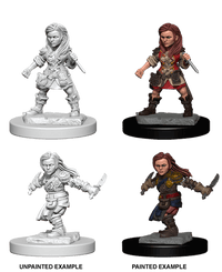 D&D Nolzur's Marvelous Miniatures Wave 1 to 4