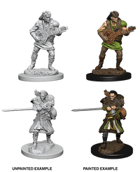 D&D Nolzur's Marvelous Miniatures Wave 1 to 4