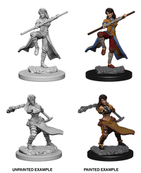 D&D Nolzur's Marvelous Miniatures Wave 1 to 4