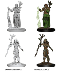 D&D Nolzur's Marvelous Miniatures Wave 1 to 4