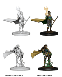 D&D Nolzur's Marvelous Miniatures Wave 1 to 4