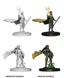 D&D Nolzur's Marvelous Miniatures Wave 1 to 4