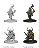 D&D Nolzur's Marvelous Miniatures Wave 1 to 4