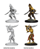 D&D Nolzur's Marvelous Miniatures Wave 1 to 4