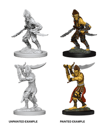 D&D Nolzur's Marvelous Miniatures Wave 1 to 4
