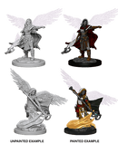 D&D Nolzur's Marvelous Miniatures Wave 1 to 4