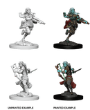 D&D Nolzur's Marvelous Miniatures Wave 1 to 4