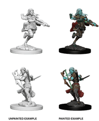 D&D Nolzur's Marvelous Miniatures Wave 1 to 4