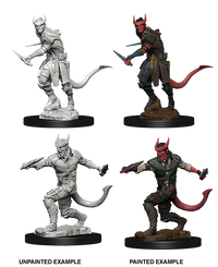 D&D Nolzur's Marvelous Miniatures - Tiefling Male Rogue