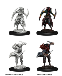 D&D Nolzur's Marvelous Miniatures - Tiefling Female Rogue