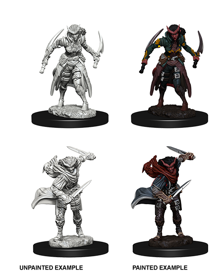 D&D Nolzur's Marvelous Miniatures - Tiefling Female Rogue