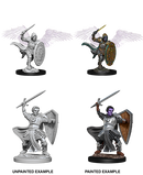 D&D Nolzur's Marvelous Miniatures - Aasimar Male Paladin