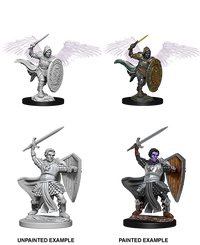 D&D Nolzur's Marvelous Miniatures - Aasimar Male Paladin