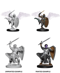 D&D Nolzur's Marvelous Miniatures Wave 5 to 7