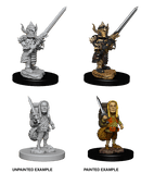 D&D Nolzur's Marvelous Miniatures Wave 5 to 7