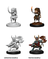 D&D Nolzur's Marvelous Miniatures Wave 5 to 7