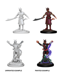 D&D Nolzur's Marvelous Miniatures - Male Tiefling Warlock