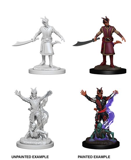 D&D Nolzur's Marvelous Miniatures - Male Tiefling Warlock