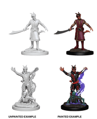 D&D Nolzur's Marvelous Miniatures Wave 5 to 7
