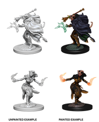 D&D Nolzur's Marvelous Miniatures - Female Tiefling Warlock