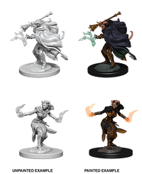 D&D Nolzur's Marvelous Miniatures Wave 5 to 7