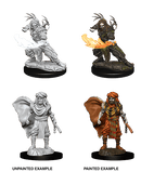 D&D Nolzur's Marvelous Miniatures Wave 5 to 7