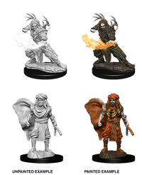D&D Nolzur's Marvelous Miniatures Wave 5 to 7