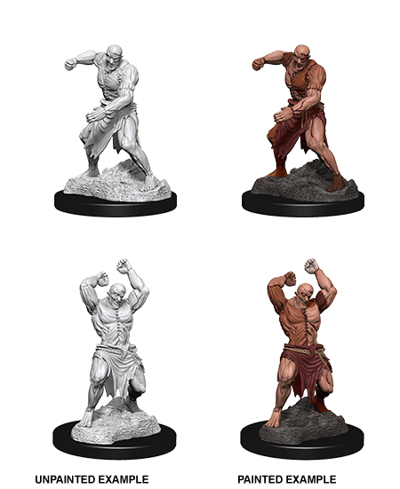 D&D Nolzur's Marvelous Miniatures Wave 5 to 7