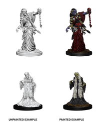 D&D Nolzur's Marvelous Miniatures Wave 5 to 7