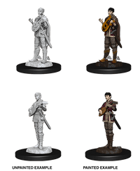 D&D Nolzur's Marvelous Miniatures Wave 5 to 7