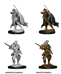 D&D Nolzur's Marvelous Miniatures Wave 5 to 7