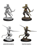 D&D Nolzur's Marvelous Miniatures Wave 5 to 7