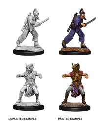 D&D Nolzur's Marvelous Miniatures - Male Human Monk