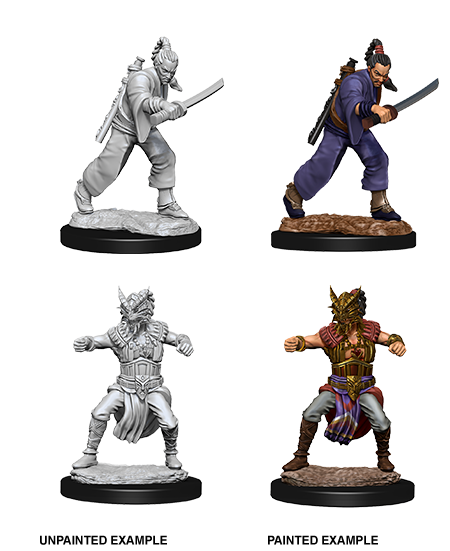 D&D Nolzur's Marvelous Miniatures - Male Human Monk