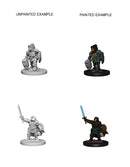 D&D Nolzur's Marvelous Miniatures - Dwarf Female Paladin