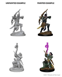 D&D Nolzur's Marvelous Miniatures - Elf Male Bard